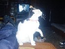 Spot playing with Becca